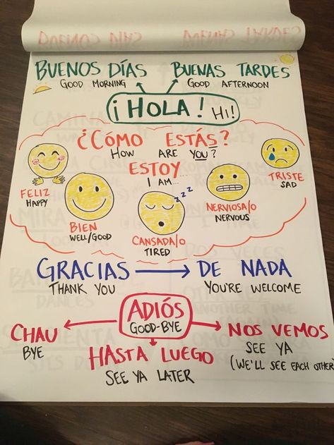 Preschool Spanish Lessons, Spanish Teacher Classroom, Bilingual Classroom Decor, Dual Language Spanish, Beginner Spanish Lessons, Spanish Classroom Decor, Spanish Learning Activities, Classroom Kindergarten, Preschool Spanish