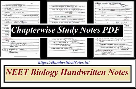 NEET Biology Handwritten Notes: Complete Notes to Crack Entrance | Best Coaching Notes for 10th, 11th and 12th Class | Download PDF Class 12 Biology Notes Neet, Biomolecules Notes Biology Neet, Mineral Nutrition In Plants Notes, Class 11 Biology Notes Cell The Unit Of Life, Class 11 Biology Notes Living World, Biomolecules Notes Biology Class 11 Neet, Animal Kingdom Notes Neet, The Living World Neet Notes, Biomolecules Notes Biology Class 11