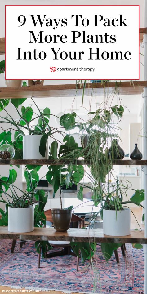 Plant Stand Small Space, Indoor Plants Styling Small Spaces, Plant Decor Small Apartment, Plants Bedroom Wall, Home Plant Organization, Apartment Plant Organization, Big Plants Small Apartment, Small Space Plant Storage, Apartment Plant Display