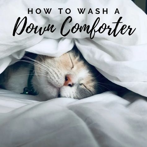 How to Wash a Down Comforter or Duvet - Dengarden How To Wash Down Comforter, How To Wash A Down Comforter At Home, How To Wash Comforter, Washing Down Comforter, Pee Stains, Feather Comforter, Down Blanket, Bathroom Retreat, Cat Pee