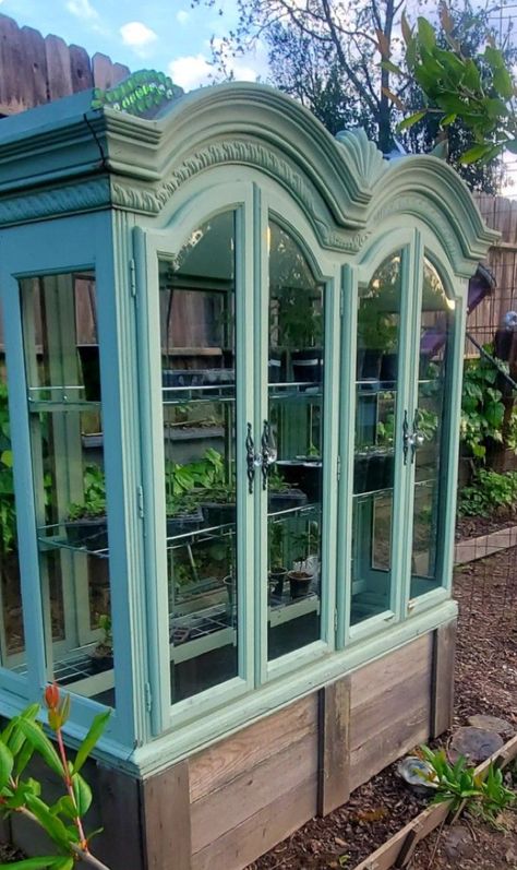 China Cabinet Greenhouse, Cabinet Greenhouse, Tiny Greenhouse, Solarium Ideas, Window Greenhouse, Old Window Projects, Glass Houses, Greenhouse Ideas, Green Houses