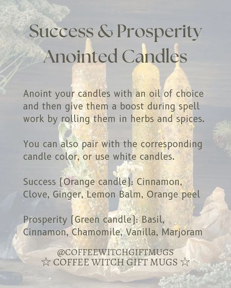 🕯Success & Prosperity Anointed Candles🕯 Anoint your candles with an oil of choice and then give them a boost during spell work by rolling them in herbs and spices. You can also pair with the corresponding candle color, or use white candles🕯🤍 🧡 Success (Orange candle): Cinnamon, Clove, Ginger, Lemon Balm, Orange peel 💚 Prosperity (Green candle): Basil, Cinnamon, Chamomile, Vanilla, Marjoram

#witchcrafttips #candlemagic #witchytips Orange Peel Spell, Success Candle Spell, Orange Candle Spell, White Candle Spells, Coffee Witch, Candle Cinnamon, Candle Meaning, Witchcraft Candles, Intuitive Tarot