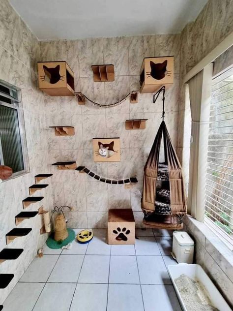 Indoor Cattery Ideas, Ideas For Cat Rooms, Cat Rooms Indoor Ideas, Cattery Ideas Cat Room, Cat Room Diy, Cat Room Decor, Cat Climbing Shelves, Cat Bedroom, Niche Chat