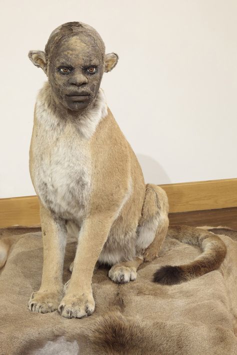 Bad Taxidermy, Taxidermy Art, Animal Hide, Human Head, Juxtapoz Magazine, Baboon, Foto Art, Human Face, Wedding Art