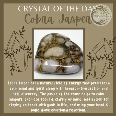 Willow Witchcraft Crystals Meaning, Crystal Identification, Jasper Meaning, Gemstones Chart, Crystal Healing Chart, Healing Crystals For You, Crystal Meditation, Leopard Skin Jasper, Earth Gift