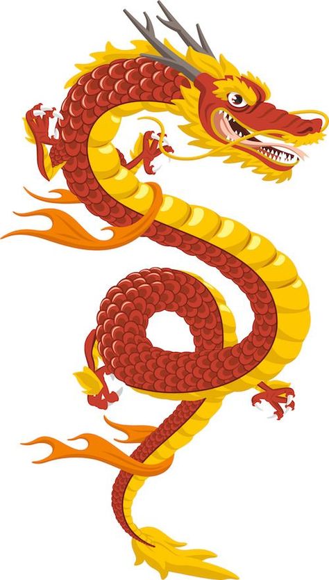 Year Of The Dragon Art, China For Kids, Cycle Women, China Facts, Real Dragon, Chinese Dragon Art, Wood Dragon, Dragon 2024, Bahasa China