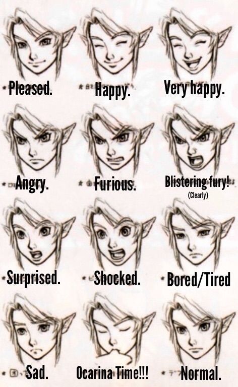 The emotions of Link TP. Excited Face, Facial Expressions Drawing, Game Aesthetic, Zelda Twilight Princess, Cyberpunk Character, Zelda Art, Drawing Expressions, Tarot Art, Twilight Princess