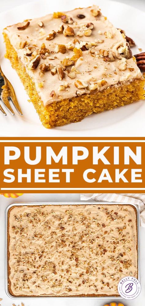 Pumpkin Sheet Cake l Belly Full Pumpkin Sheet Cake With Cream Cheese, Bellyfull Recipes, Dessert For Fall, Pumpkin Breakfast Recipes, Cinnamon Frosting, Sheet Cake Recipe, Pumpkin Sheet Cake, Pumpkin Treats, Dump Cake Pumpkin