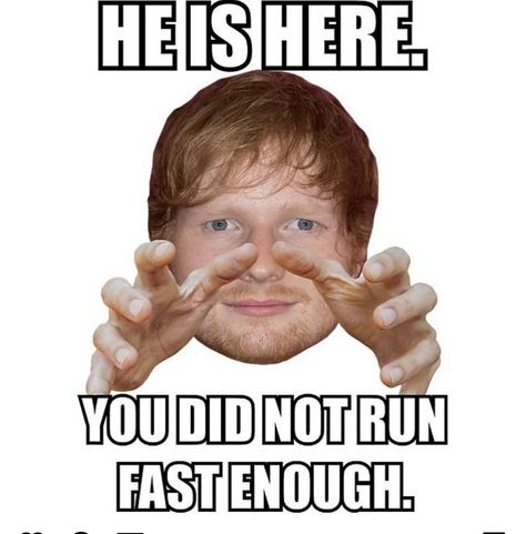 Ed Shiran, Ed Sheeran Memes, Ed Sheeran Facts, Run Fast, Funny Profile, Very Funny Pictures, Funny Profile Pictures, Funny Reaction Pictures, Real Funny Jokes