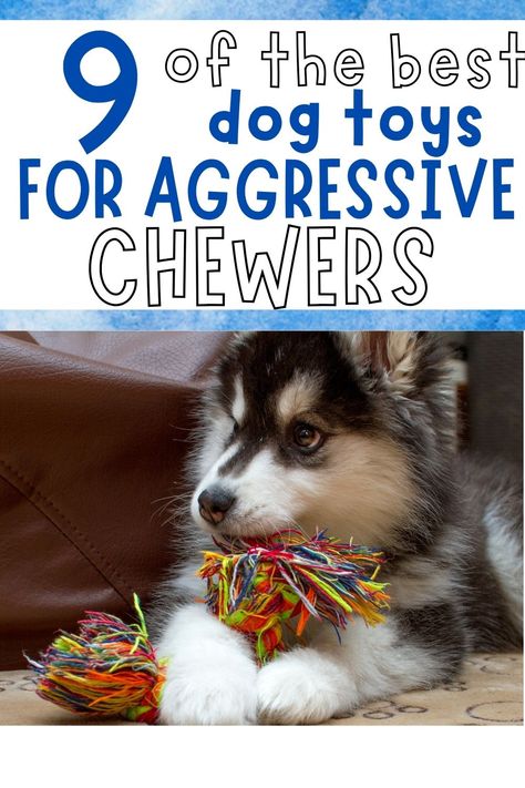 aggressive chew toys for dogs Diy Indestructible Dog Toys, How To Make Dog Toys Diy, Diy Chew Toys For Puppies, Diy Dog Toys For Heavy Chewers Easy, Puppy Chew Toys Diy, Diy Busy Toys For Dogs, Super Chewer Dog Toys, Best Dog Toys To Keep Them Busy, Homemade Puppy Toys