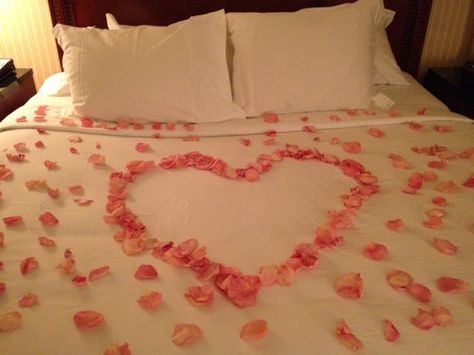 Okay. Back to hotel after signing in Dallas. And found my bed in this condition. Considering I'm traveling by myself, I found this odd...unless someone is stalking me that I don't know. (now I gotta clean up rose petals before I go to bed) Flower Petals On Bed Romantic, Rose Petals Aesthetic Bed, Rose Petals Bed, Rose Pedals On Bed, Bed With Roses Petals Romantic, Roses On The Bed, Rose Petals On Bed, Petals On Bed, Roses On Bed