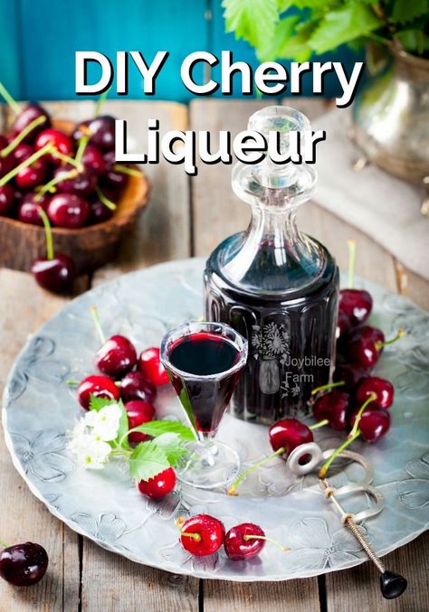 Cherry Liqueur Recipe, Cherry Mead Recipe, Cherry Pits Use, Bourbon Infusions, Infused Alcohol Recipes, Luxardo Cherries, Homemade Liqueur, Homemade Liqueur Recipes, Liqueur Recipes