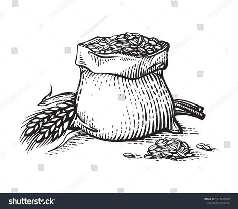 Hand sketched whole bag of wheat flour and grains isolated on white background. Vector illustrationwheat#flour#bag#Hand Wheat Drawing, Coffee Drawing, Drawing Bag, Engraving Illustration, Vintage Drawing, Graphic Style, Hand Sketch, Wheat Flour, Art Logo