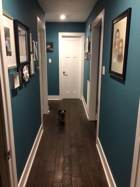 Teal hallway paint, white trim, picture collage, matter frames Back Hallway Ideas, Teal Hallway, Paint Hallway, Dark Blue Feature Wall, Hallway Wall Colors, Blue Feature Wall, Hallway Paint Colors, Blue Hallway, White Hallway