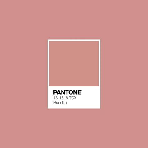 Pantone Palette, Pantone Colour Palettes, Palette Design, Brand Color Palette, Color Inspo, Colour Board, Color Swatch, Color Stories, Colour Schemes