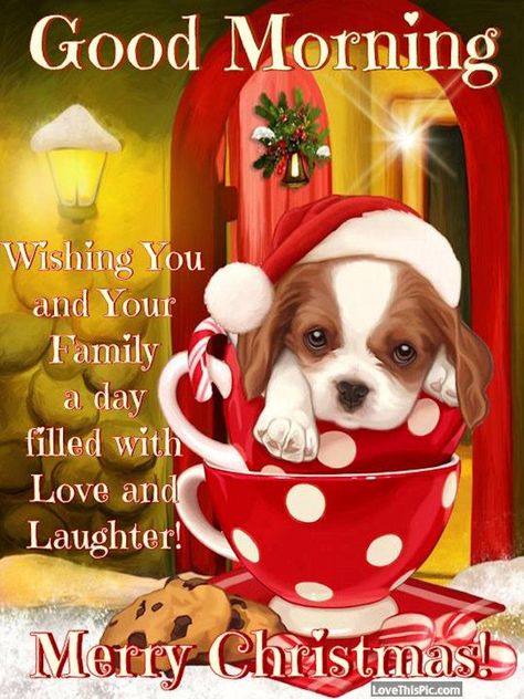 Good morning Wishing You And Your Family A Day Filled With Laughter Merry Christmas Merry Christmas Greetings Quotes, Christmas Morning Quotes, Beautiful Christmas Quotes, Cute Christmas Quotes, Christmas Eve Quotes, Christmas Quotes For Friends, Christmas Greetings Quotes, Christmas Greetings Messages, Good Morning Christmas