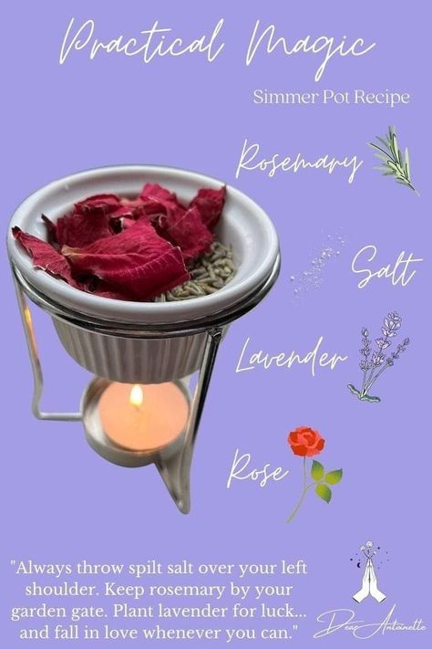 Mini Simmer Pot, Practical Magic Quotes, Plant Lavender, Simmer Pots, Simmer Pot Recipes, Candle Magic Spells, Stove Top Potpourri, Kitchen Witch Recipes, Simmering Potpourri