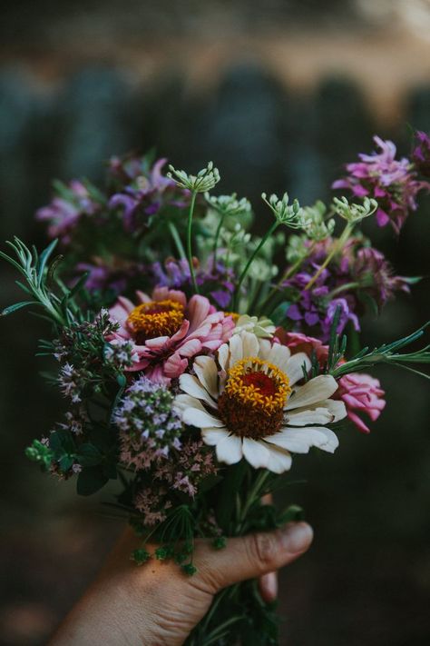 Penny Kingan - Forest Finders. Flower bouquet from the garden Everyday Magic, Cottage Rose, Farm Lifestyle, Floral Alphabet, Wonderful Flowers, Garden Photography, Garden Path, Freshly Picked, Floral Inspiration