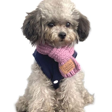 Puppy Jewelry, Wool Knit Scarf, Cat Winter, Pet Scarf, Dog Scarfs, Small Puppies, Warm Scarf, Cat Pet Supplies, Medium Dogs