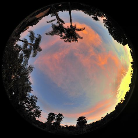 Circular Fisheye Photography | Sunset Nikon Nikkor 8mm 2.8 fisheye Nikkor 8mm Fisheye Nikon f2.8 1:2 ... Fish Eye Lens Profile Picture, Fisheye Photography Aesthetic, Round Pfp Cat Fisheye, Fishbowl Lens Aesthetic, Fish Eye Lense Aesthetic, Round Pfp Eyefish, Circular Pfp, Fisheye Art, Fish Eye Lens Photography