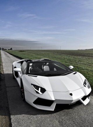 Los coches de lujo m�ás populares de Pinterest Xe Bugatti, Aventador Roadster, Lamborghini Aventador Roadster, Aventador Lamborghini, Lamborghini Lamborghini, Auto Design, Lamborghini Veneno, Pagani Huayra, Lamborghini Cars