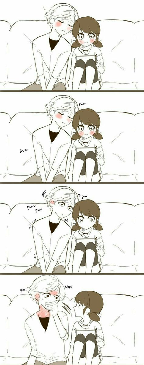 #MLB | Adrien X Marinette Ladybug E Catnoir, Ladybug Und Cat Noir, Marinette Ladybug, Ladybug Art, Catty Noir, Miraculous Ladybug Memes, Miraculous Ladybug Fanfiction, Ladybug Anime, Marinette And Adrien