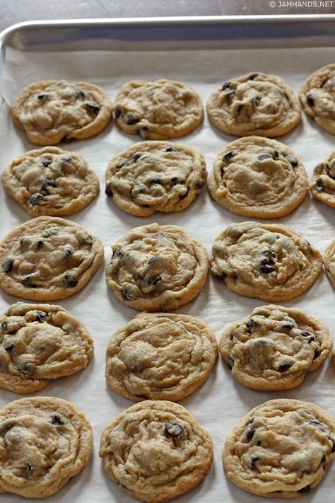 The Best Soft Chocolate Chip Pudding Cookies Chocolate Chip Cookies With Pudding, Cookies With Pudding, Autumn Desserts, Wedding Foods, Chocolate Chip Pudding, Cookies Chocolate Chip, Heavenly Desserts, Peach Dessert, Chocolate Chip Pudding Cookies