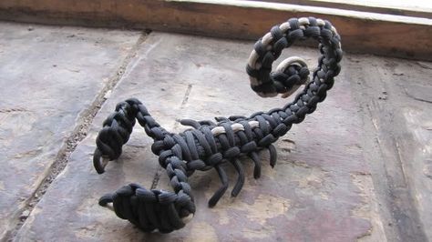 Paracord Scorpion Paracord Crafts, Paracord Braids, Rope Projects, Paracord Diy, Decorative Knots, Paracord Tutorial, 550 Cord, Paracord Knots, Paracord Keychain