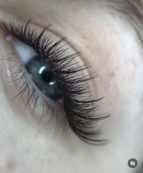 Lash extensions, 2:1, 2D, natural, Kim effect, cat eye, lashes 3d Lash Extensions Cat Eye, Hybrid Lash Cat Eye, 2d Lash Extensions Cat Eye, 2d Lashes Eyelash Extensions, Lashes Kim Effect, Lashes 2:1, Gene 2d, Lash Extensions 2d, Cat With Lashes