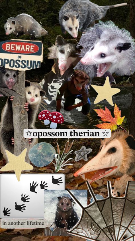 Therian Tail, Therian Wallpaper, Fox Tail Keychain, Pretty Animals, Mask, Collage, Animals, Art