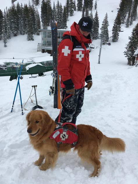 Ruffwear Takes Design to New Heights for Ski Patrol and SAR | Snowsports Industries America Search And Rescue Aesthetic, Chasing Cars Lyrics, Snow Patrol Chasing Cars, Catherine Cowles, Mountain Rescue, Ski Patrol, Travel Dog, Snow Patrol, Chasing Cars