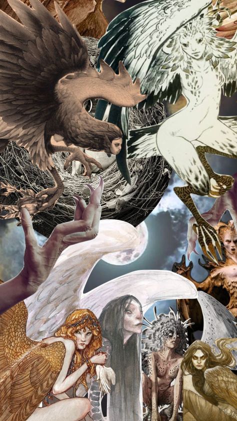 Harpy Island #harpy #harpies #wings #oc #storyidea #story #aesthetic #fantasy #mythology Harpy Aesthetic, Mythology Costumes, Fantasy Mythology, Light Aesthetic, Story Aesthetic, Cool Wallpapers Art, Scrapbook Journal, Art Stuff, Cool Wallpaper