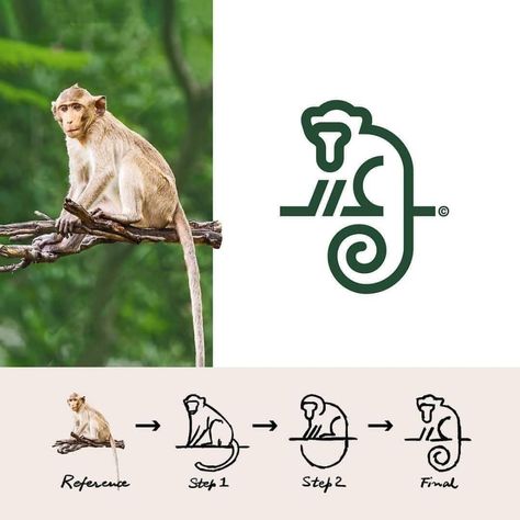 Monkey Logo Design, Logo Sketch Design, Zoo Logo, Behance Illustration, Ali Akbar, Monkey Logo, Minimal Graphic, Inspiration Logo Design, Logo Sketches