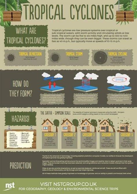 Tropical cyclones Tropical Cyclone Images, Tropical Cyclone, Inotropic Chronotropic Dromotropic, Deforestation Infographic Design, Transport In Plants Biology Notes, Tsunami Infographic, Natural Disasters Activities, Increase Height Exercise, School Organization Notes