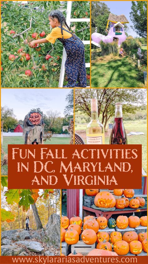 Fall In Virginia, Washington Dc With Kids, Virginia Fall, Fall Festivals, Fall Vacations, Virginia Travel, Washington Dc Travel, Fun Fall Activities, Travel Bucket List Usa