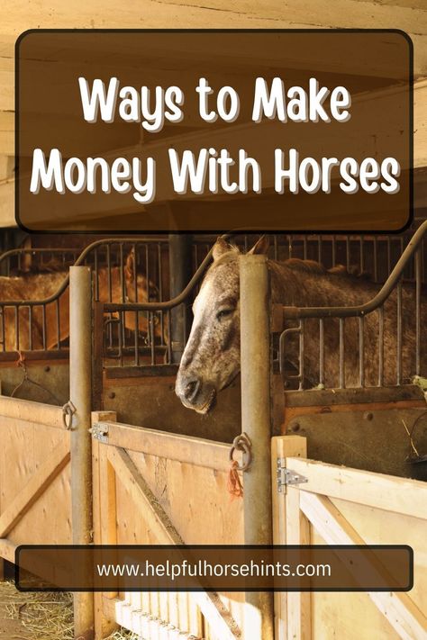 Horse Buisness Ideas, Horse Business Ideas, Horse Jobs, Old Money Horse, Aesthetic Stables, Owning Horses, Jobs That Involve Horses, How To Get A Horse To Trust You, Taking Care Of Horses For Beginners