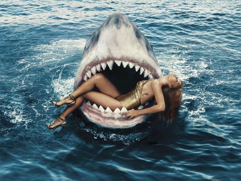 Collage Des Photos, Shark Mouth, Shark Swimming, Halloween Photoshoot, Shark Week, Harpers Bazaar, Photography Tutorials, Under The Sea, Rihanna