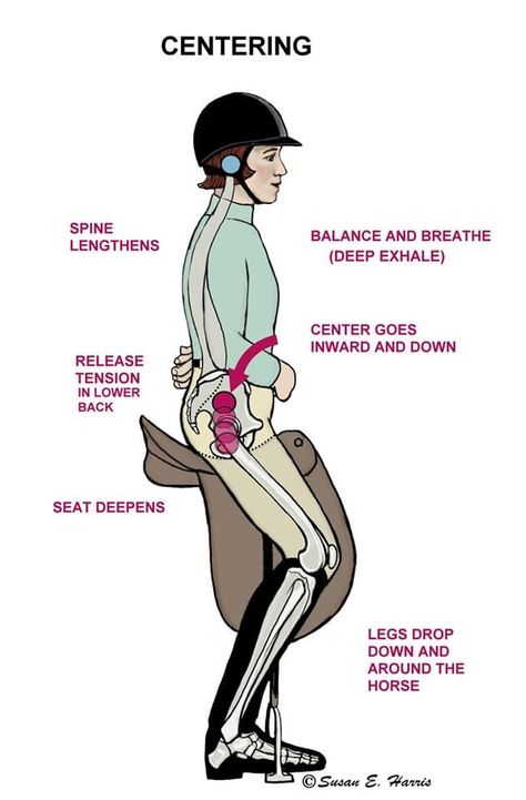 Horseback Riding Tips English, Horse Riding Tips English, Equestrian Tips, Horse Training Exercises, Horseback Riding Tips, Horseback Riding Lessons, Horse Lessons, Riding Tips, Horse Exercises