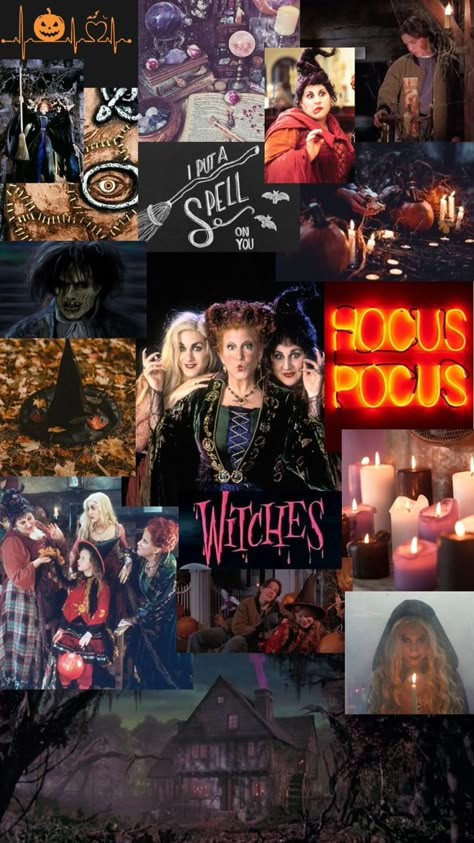 Hocus Pocus collage phone wallpaper Preppy Fall Wallpaper, Desktop Wallpaper Simple, Halloween Home Decor Ideas, Halloween Desktop Wallpaper, Helloween Wallpaper, Halloween Wallpaper Iphone Backgrounds, Cute Backgrounds For Iphone, Halloween Wallpaper Backgrounds, Halloween Wallpaper Cute