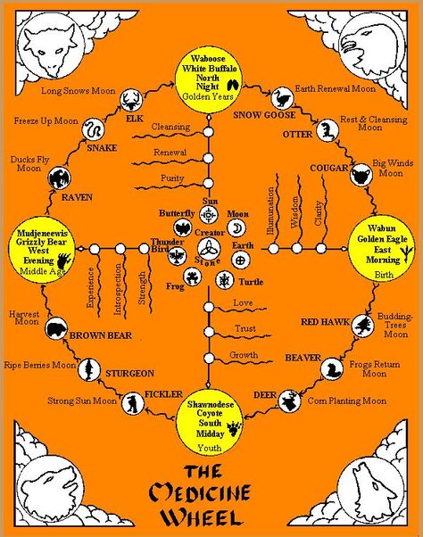 ♥Native American Medicine Wheel♥ Make one anywhere--any size, any natural substance, such as rocks, crystals, stones, etc! Native American Medicine Wheel, Indian Tattoos, History Aesthetic, Native American Totem, Wiccan Tattoos, Native American Spirituality, Inca Tattoo, Mayan Symbols, Native American Wisdom