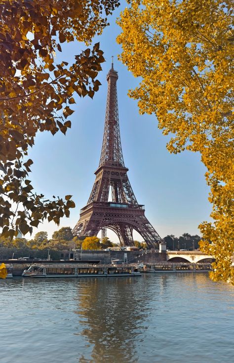 Torre eiffel em paris entre folhagem ama... | Premium Photo #Freepik #photo #agua #folha #paris #arquitetura Paris Tumblr, Torre Eiffel Paris, Eiffel Tower Photography, Paris Wallpaper, Paris Pictures, Star Wars Fan Art, Drawing Images, The Eiffel Tower, Travel Inspo