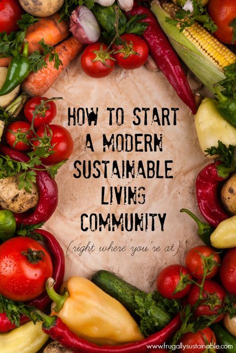 Intentional Community, Community Living, Sustainable Community, Eco Living, Community Gardening, Off Grid Living, Sustainable Lifestyle, Off The Grid, Natural Living