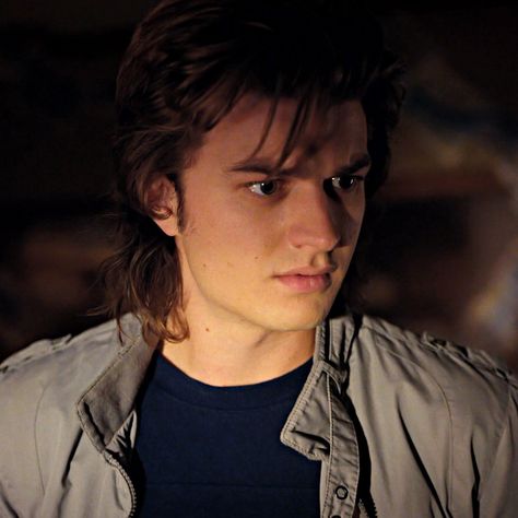 Steve Harrington Pfp, Steve Harrington Icons, Aesthetic Taurus, Steve Harrington Stranger Things, Joe Kerry, Beautiful Joe, Stranger Things Steve, Stranger Things Aesthetic, Ideal Boyfriend