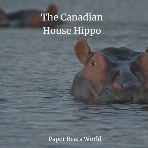 The Canadian House Hippo House Hippo, Nostalgia Critic, Canadian House, Writing Inspiration, Meeting People, Inspire Me, Funny, Art