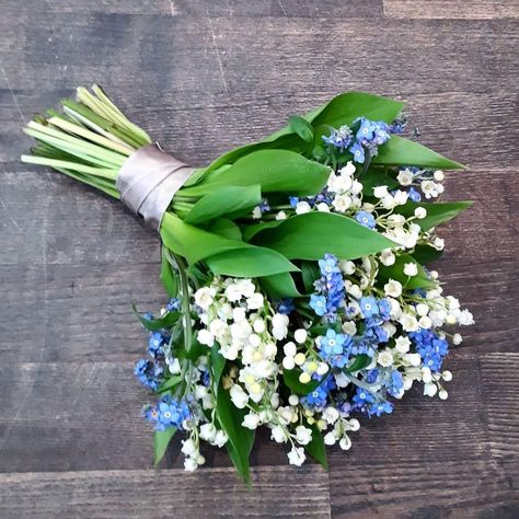 For Get Me Not Bouquet, Corn Flower Bouquet, Forget Me Not Bouquet Wedding, Forget Me Not Flowers Bouquet, Forget Me Not Bouquet, Lily Of The Valley Wedding Bouquet, Bell Orchid, Lily Of The Valley Bouquet, Eucalyptus Wedding Bouquet