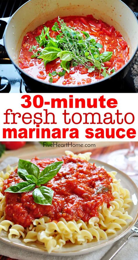 How To Make Pasta Sauce From Fresh Tomatoes, Bolognese Sauce With Fresh Tomatoes, Marinara Sauce Homemade Fresh Tomatoes, Fresh Tomato Sauce Homemade, Fresh Tomato Marinara Sauce, Tomato Marinara Sauce, Pasta Sauce With Fresh Tomatoes, Homemade Pasta Sauce, Fresh Tomato Pasta