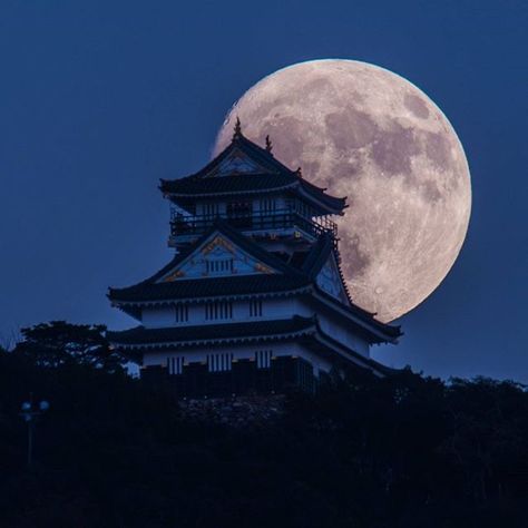 Ancient China Aesthetic Blue, Inazuma Aesthetic, Ancient China Aesthetic, Chinese Background, Japanese Village, Japanese Castle, Japanese Lifestyle, Gifu Japan, Aesthetic Space