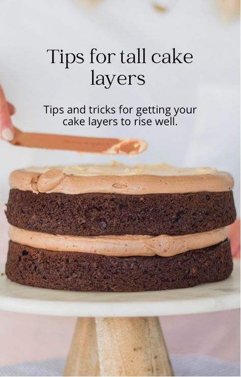 How to Bake Tall Cake Layers | Cake by Courtney Tall Round Cake, Cake By Courtney, 12 Inch Cake, Tall Cake, Two Layer Cakes, 60th Birthday Cakes, Tall Cakes, Bake Cake, Cake Layers