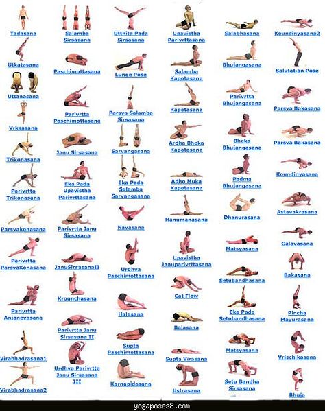 All Yoga Asanas, Yoga Asanas Names, Yoga Teacher Training India, Yoga Ashtanga, Yoga Kundalini, Yoga Vinyasa, Yoga Poses Names, Beginner Yoga, Easy Yoga Poses