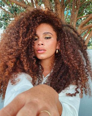 Joyjah Estrada, Curly Hair Color Ideas, Curly Hair Color, Air Dry Cream, Hair Colorful, Honey Brown Hair, Big Curly Hair, Ginger Hair Color, Natural Afro Hairstyles